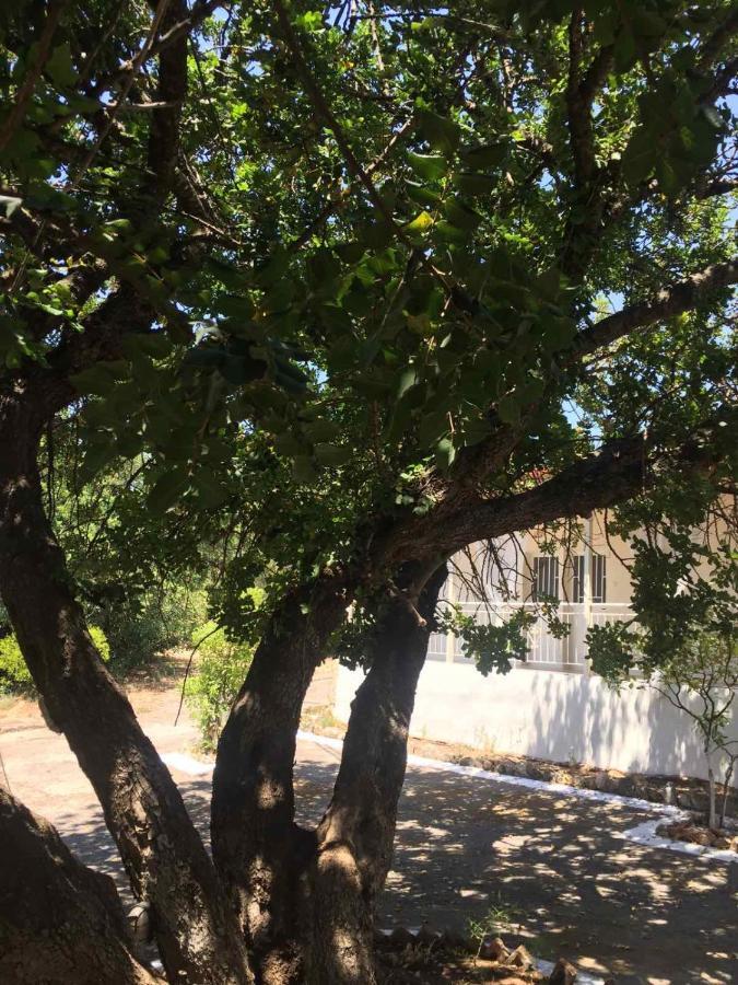 Hostel Αγρόκτημα Χελωναριά - Agroktima Chelonaria Chrani Zewnętrze zdjęcie